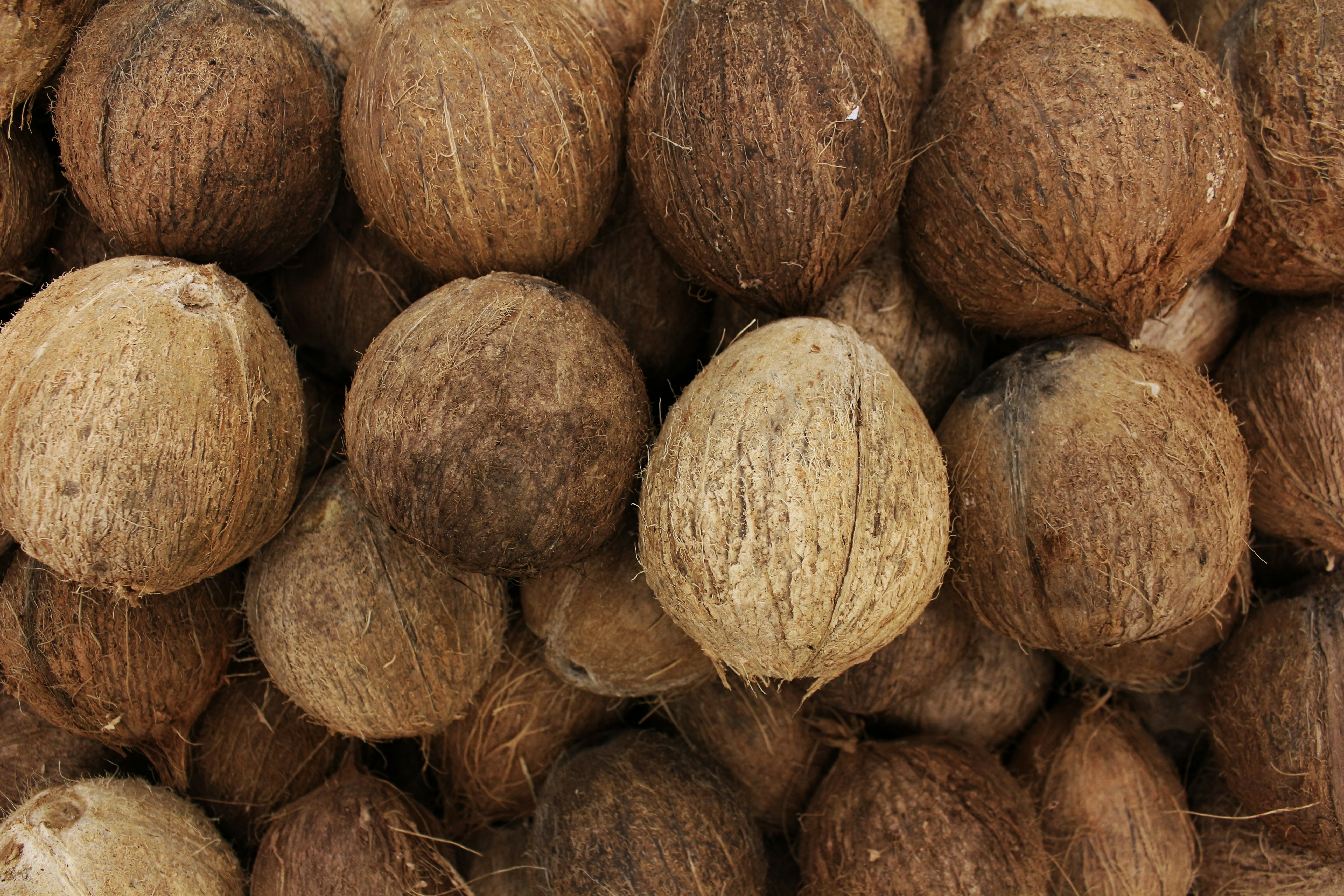 Dry Coconut